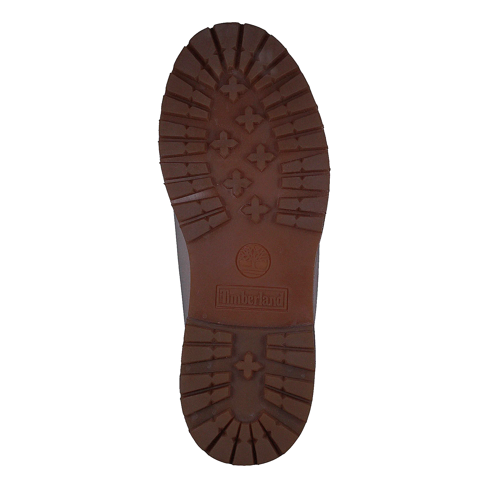 6 In Premium Cameo Rose