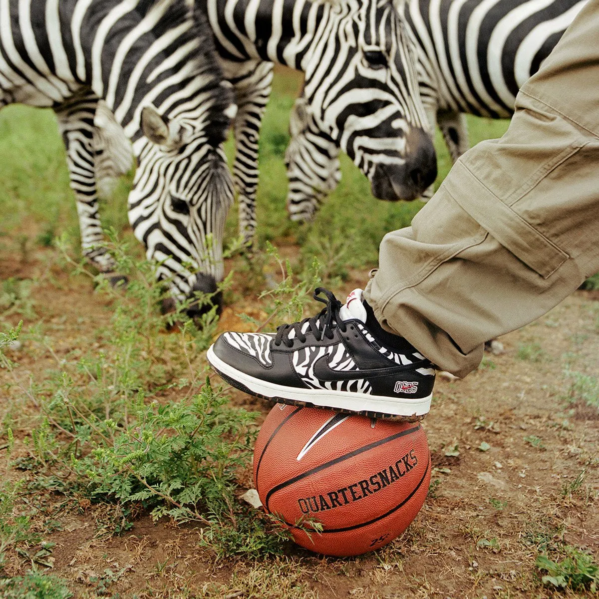 Nike SB Dunk Low OG QS Quartersnacks Zebra