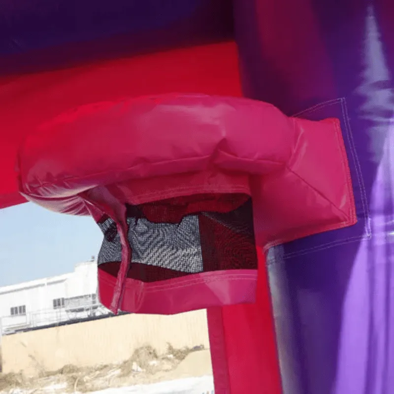 Pink Castle Bounce House