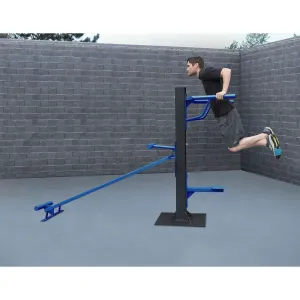 SuperMAX Individual Station (Triceps Dip and Incline Sit-Up)